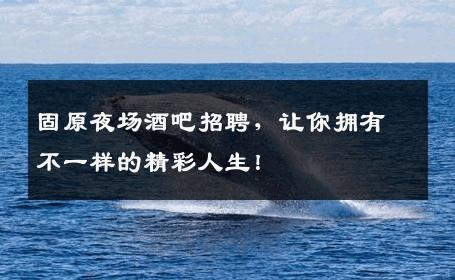固原夜场酒吧招聘，让你拥有不一样的精彩人生！