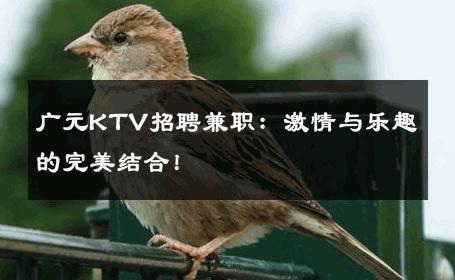 广元KTV招聘兼职：激情与乐趣的完美结合！