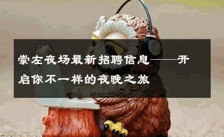 崇左夜场最新招聘信息——开启你不一样的夜晚之旅