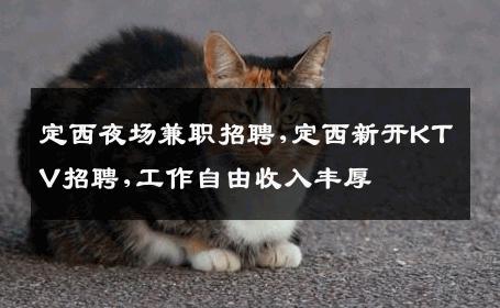 定西夜场兼职招聘,定西新开KTV招聘,工作自由收入丰厚
