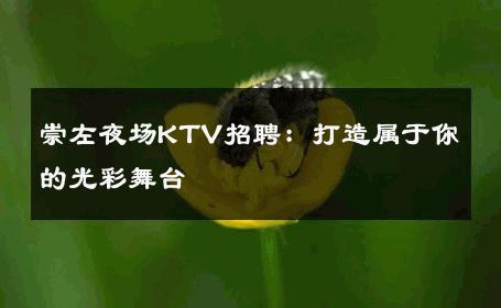 崇左夜场KTV招聘：打造属于你的光彩舞台