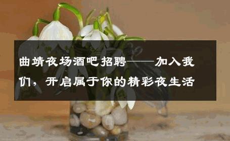 曲靖夜场酒吧招聘——加入我们，开启属于你的精彩夜生活