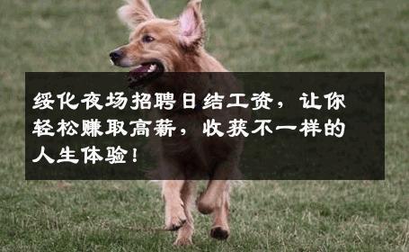 绥化夜场招聘日结工资，让你轻松赚取高薪，收获不一样的人生体验！