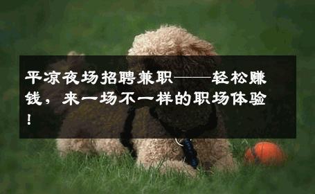 平凉夜场招聘兼职——轻松赚钱，来一场不一样的职场体验！