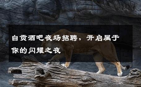 自贡酒吧夜场招聘，开启属于你的闪耀之夜