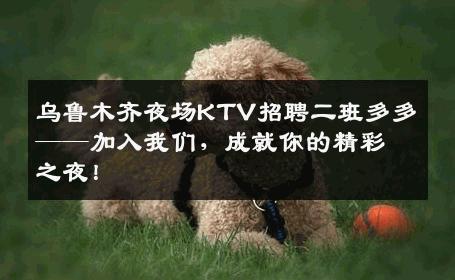 乌鲁木齐夜场KTV招聘二班多多——加入我们，成就你的精彩之夜！