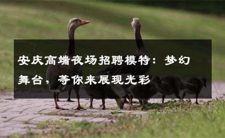 安庆高端夜场招聘模特：梦幻舞台，等你来展现光彩