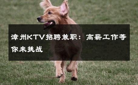 漳州KTV招聘兼职：高薪工作等你来挑战