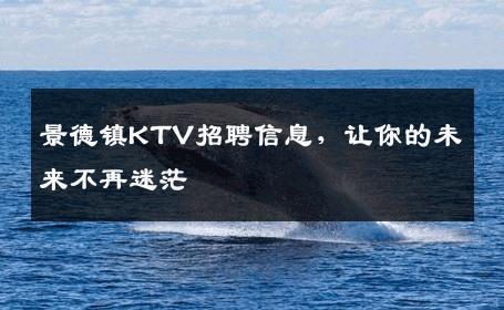 景德镇KTV招聘信息，让你的未来不再迷茫