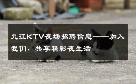 九江KTV夜场招聘信息——加入我们，共享精彩夜生活