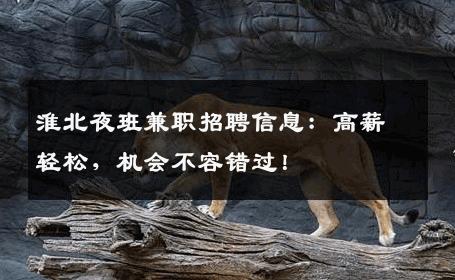 淮北夜班兼职招聘信息：高薪轻松，机会不容错过！