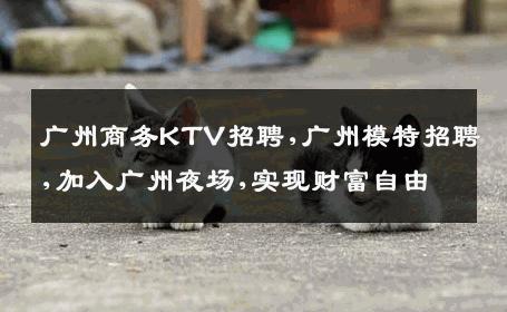 广州商务KTV招聘,广州模特招聘,加入广州夜场,实现财富自由