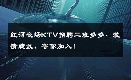 红河夜场KTV招聘二班多多，激情绽放，等你加入！
