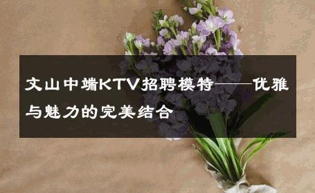 文山中端KTV招聘模特——优雅与魅力的完美结合