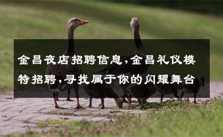 金昌夜店招聘信息,金昌礼仪模特招聘,寻找属于你的闪耀舞台