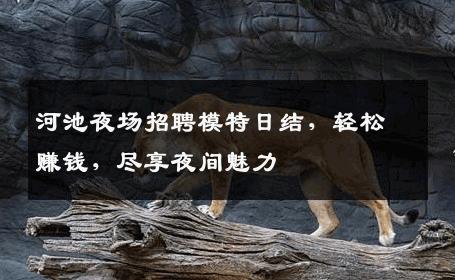 河池夜场招聘模特日结，轻松赚钱，尽享夜间魅力