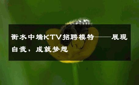 衡水中端KTV招聘模特——展现自我，成就梦想