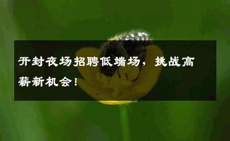 开封夜场招聘低端场，挑战高薪新机会！