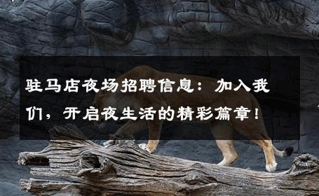驻马店夜场招聘信息：加入我们，开启夜生活的精彩篇章！