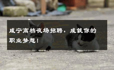 咸宁高档夜场招聘，成就你的职业梦想！