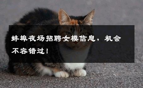 蚌埠夜场招聘女模信息，机会不容错过！