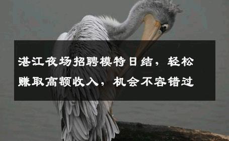 湛江夜场招聘模特日结，轻松赚取高额收入，机会不容错过