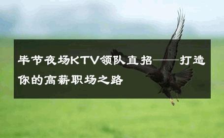 毕节夜场KTV领队直招——打造你的高薪职场之路