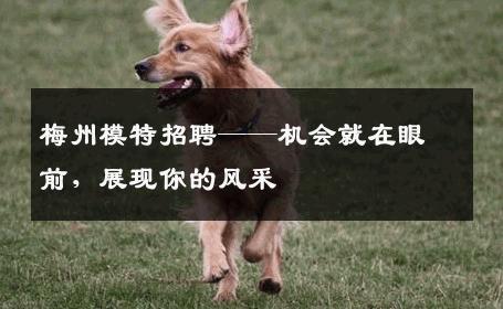 梅州模特招聘——机会就在眼前，展现你的风采