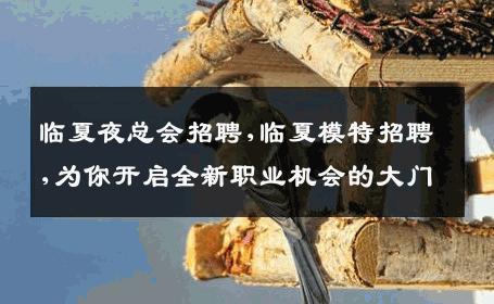 临夏夜总会招聘,临夏模特招聘,为你开启全新职业机会的大门
