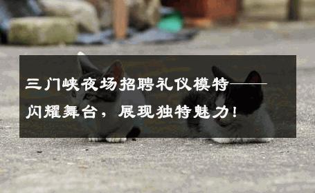 三门峡夜场招聘礼仪模特——闪耀舞台，展现独特魅力！