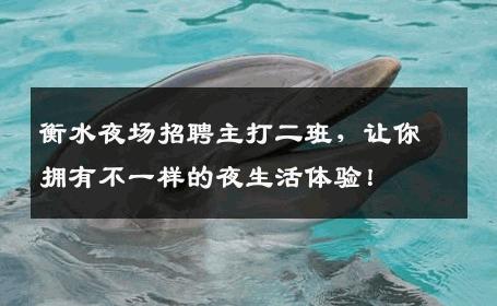 衡水夜场招聘主打二班，让你拥有不一样的夜生活体验！
