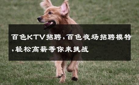 百色KTV招聘,百色夜场招聘模特,轻松高薪等你来挑战