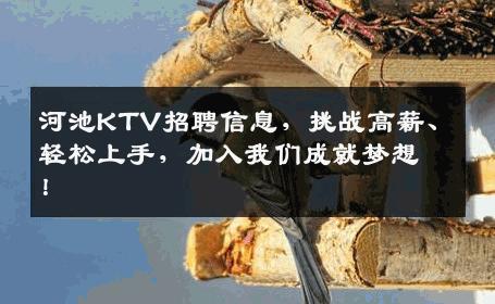 河池KTV招聘信息，挑战高薪、轻松上手，加入我们成就梦想！