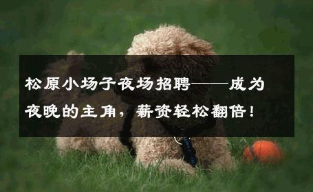 松原小场子夜场招聘——成为夜晚的主角，薪资轻松翻倍！