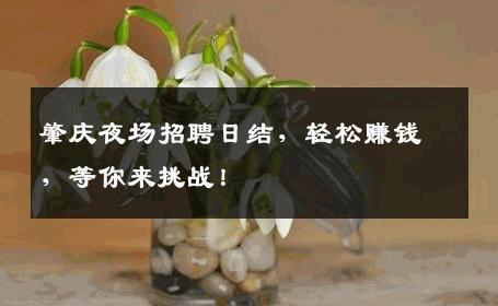 肇庆夜场招聘日结，轻松赚钱，等你来挑战！