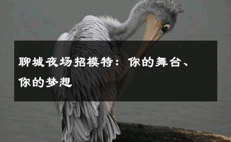 聊城夜场招模特：你的舞台、你的梦想