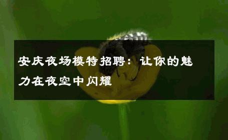 安庆夜场模特招聘：让你的魅力在夜空中闪耀