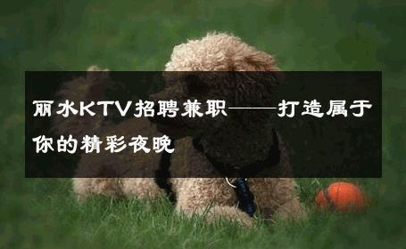 丽水KTV招聘兼职——打造属于你的精彩夜晚