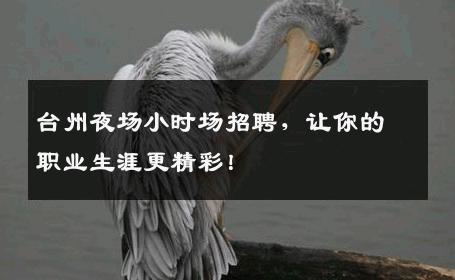 台州夜场小时场招聘，让你的职业生涯更精彩！