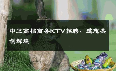 中卫高档商务KTV招聘，邀您共创辉煌