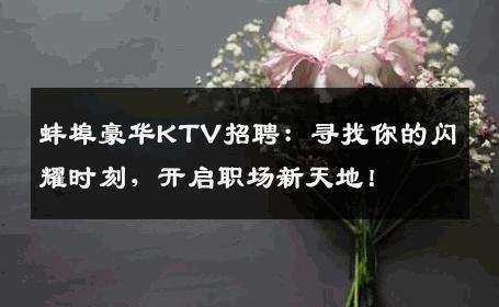 蚌埠豪华KTV招聘：寻找你的闪耀时刻，开启职场新天地！