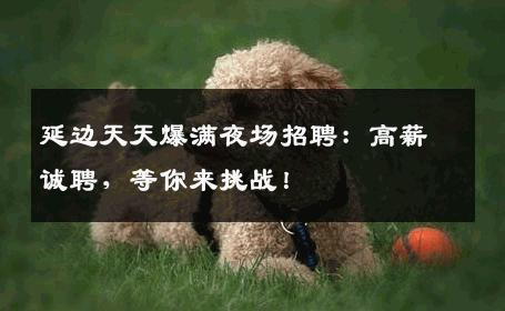 延边天天爆满夜场招聘：高薪诚聘，等你来挑战！