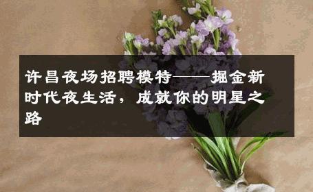 许昌夜场招聘模特——掘金新时代夜生活，成就你的明星之路