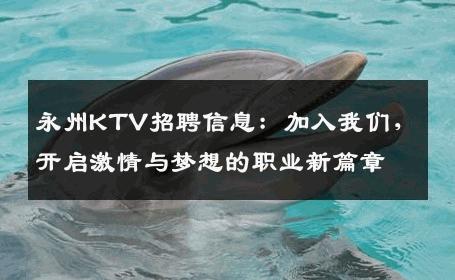 永州KTV招聘信息：加入我们，开启激情与梦想的职业新篇章