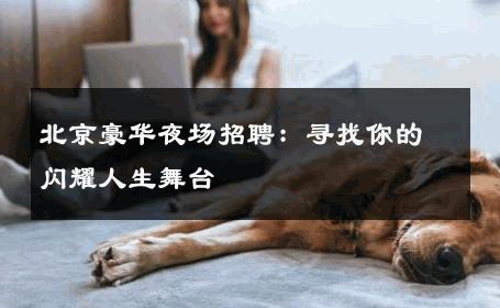 北京豪华夜场招聘：寻找你的闪耀人生舞台