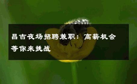 昌吉夜场招聘兼职：高薪机会等你来挑战