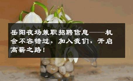 岳阳夜场兼职招聘信息——机会不容错过，加入我们，开启高薪之路！