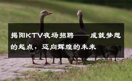 揭阳KTV夜场招聘——成就梦想的起点，迈向辉煌的未来