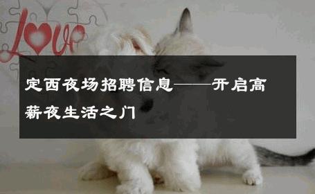 定西夜场招聘信息——开启高薪夜生活之门