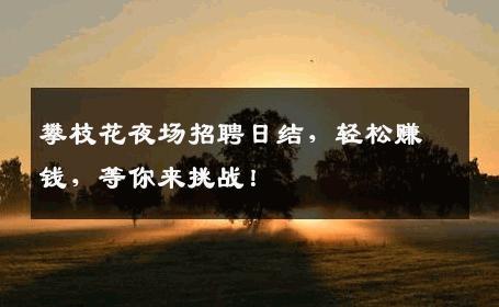 攀枝花夜场招聘日结，轻松赚钱，等你来挑战！